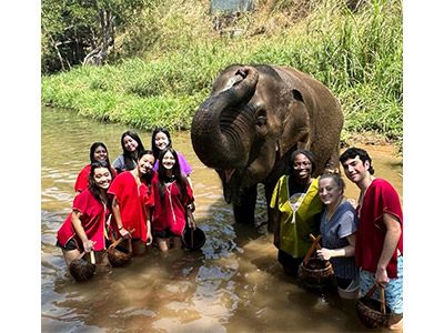 GLP Students in Thailand in Elephant Sanctuary 