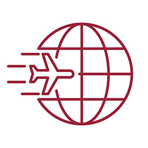 airplane and globe icon